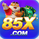 85xnetbr