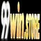 99Winstore