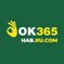 ok365habruco