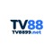 Tv8899net1