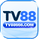 tv88666com