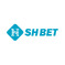 shbetvision
