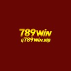 q789winvip1