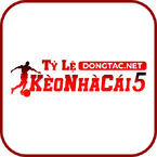 dongtacnet1