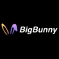 bigbunnynetp