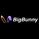 bigbunnynetp