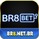br8netbr