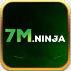 7mninja