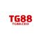 Tg88ceo