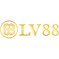 lv88nyccom