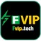 fviptech