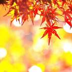 やまちゃん＼(^o^)／