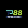 tp88mobi