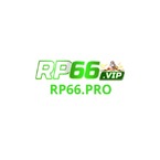 Rp66pro