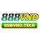 888Vndtech