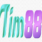 tim88promo1