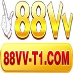88vvt1com