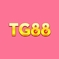 tg88health