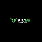 Vic88ceo