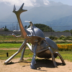 なんちゃってカメラマン