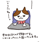 さくらむぎちゃ