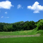 SYUWA-SYUWA