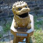 gyogyo