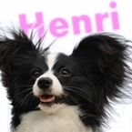 ぐりぐら