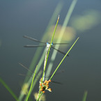 nakax55
