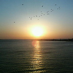 夕日