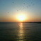 夕日