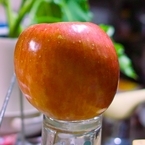 甘太郎