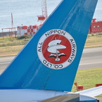 kaz4561237