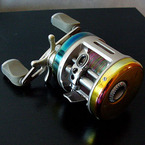 flyingfish