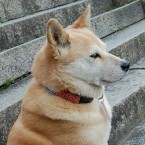 岩倉