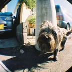 bootaro