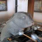 たんぼねこ