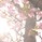 藤吉