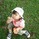 evi