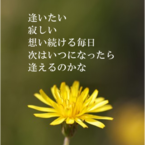 yohei1011