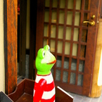 FrogDover