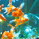 IrohaEcho