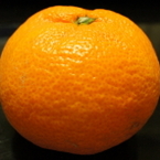 takamp
