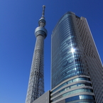 京一