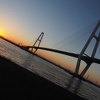 イカ墨そば