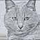 ina0008