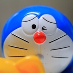 ぱどっち