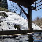黒田(温泉)