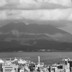 ヘタ