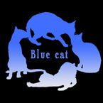 Blue cat